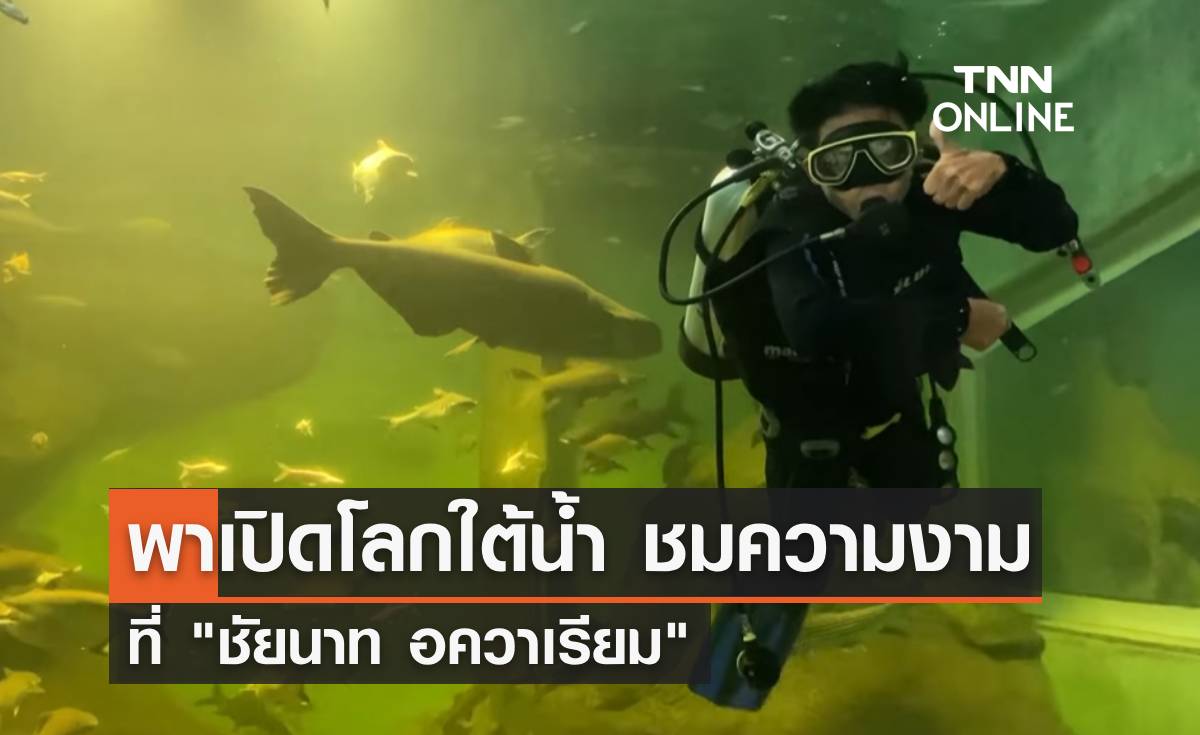 หยุดนี้ห้ามพลาด! เปิดโลกใต้น้ำ ชมความงดงามที่ "ชัยนาทอควาเรียม"