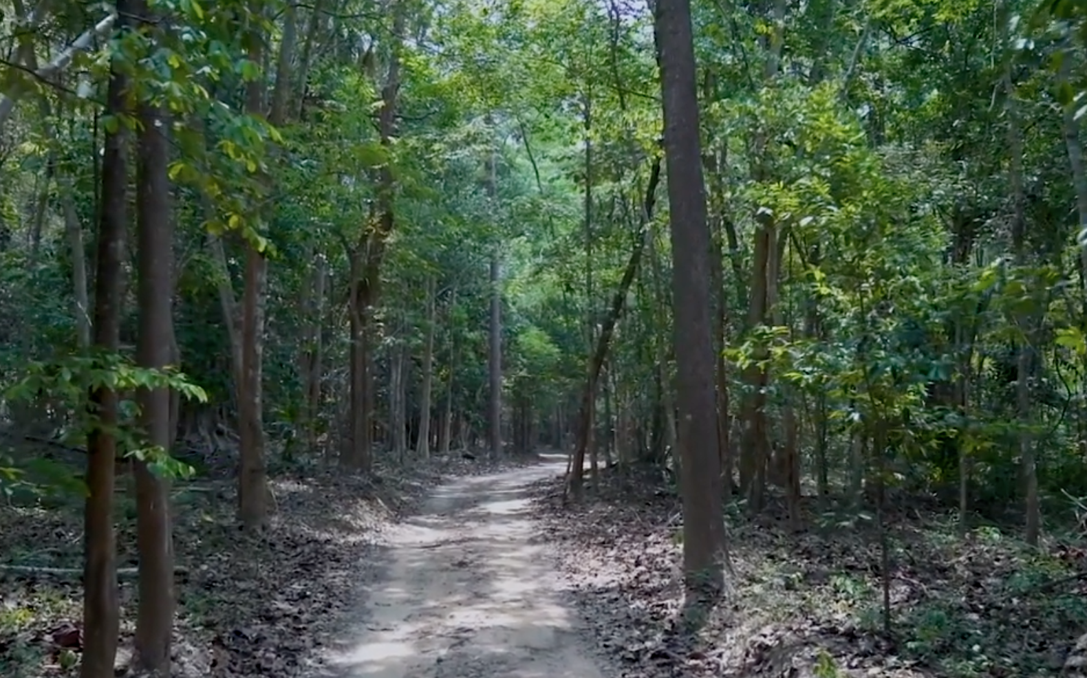 เดินป่าใกล้กรุงเทพ เปิดเส้นทาง คลองปลากั้ง ฉลอง 60 ปี ไทย-แคนาดา เดินป่าใกล้กรุงเทพ เปิดเส้นทาง คลองปลากั้ง ฉลอง 60 ปี ไทย-แคนาดา