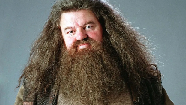 เผยสาเหตุเสียชีวิต!! 'ร็อบบี้ โคลเทรน’ หรือ ‘แฮกริด’ แห่งหนัง Harry Potter เผยสาเหตุเสียชีวิต!! 'ร็อบบี้ โคลเทรน’ หรือ ‘แฮกริด’ แห่งหนัง Harry Potter