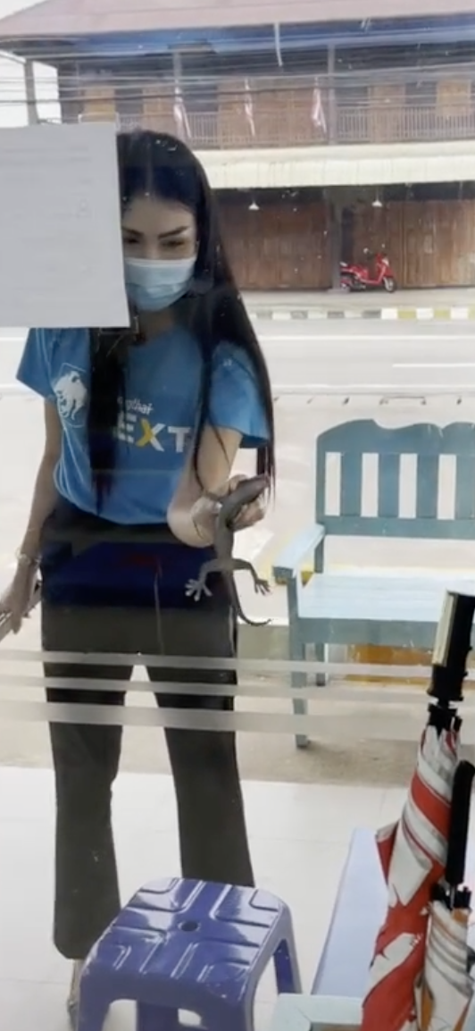 ไวรัลดัง! สาวแบงก์จับตุ๊กแกยอดติ๊กต็อกดูทะลุ 4 ล้านวิว 
