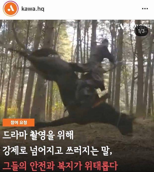 ล่ารายชื่อเอาผิด!! ซีรีส์ดังเกาหลีทารุณม้าเข้าฉากจนเสียชีวิต?