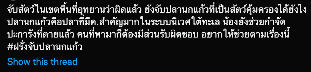#ฝรั่งจับปลานกแก้ว ติดเทรนด์ทวีตอันดับ 1 - อส.เร่งดำเนินคดีแล้ว #ฝรั่งจับปลานกแก้ว ติดเทรนด์ทวีตอันดับ 1 - อส.เร่งดำเนินคดีแล้ว