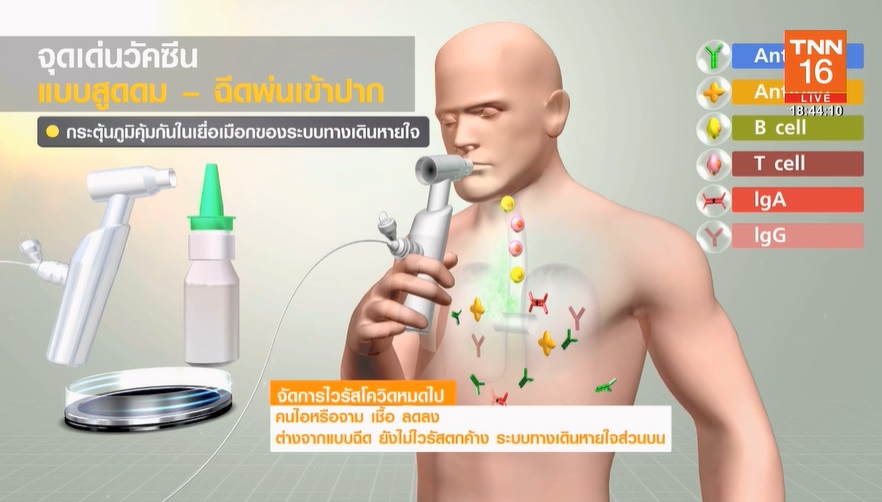 เปิดจุดเด่นวัคซีนโควิดชนิดพ่น สร้างภูมิคุ้มกันแบบฆ่าเชื้อ เปิดจุดเด่นวัคซีนโควิดชนิดพ่น สร้างภูมิคุ้มกันแบบฆ่าเชื้อ