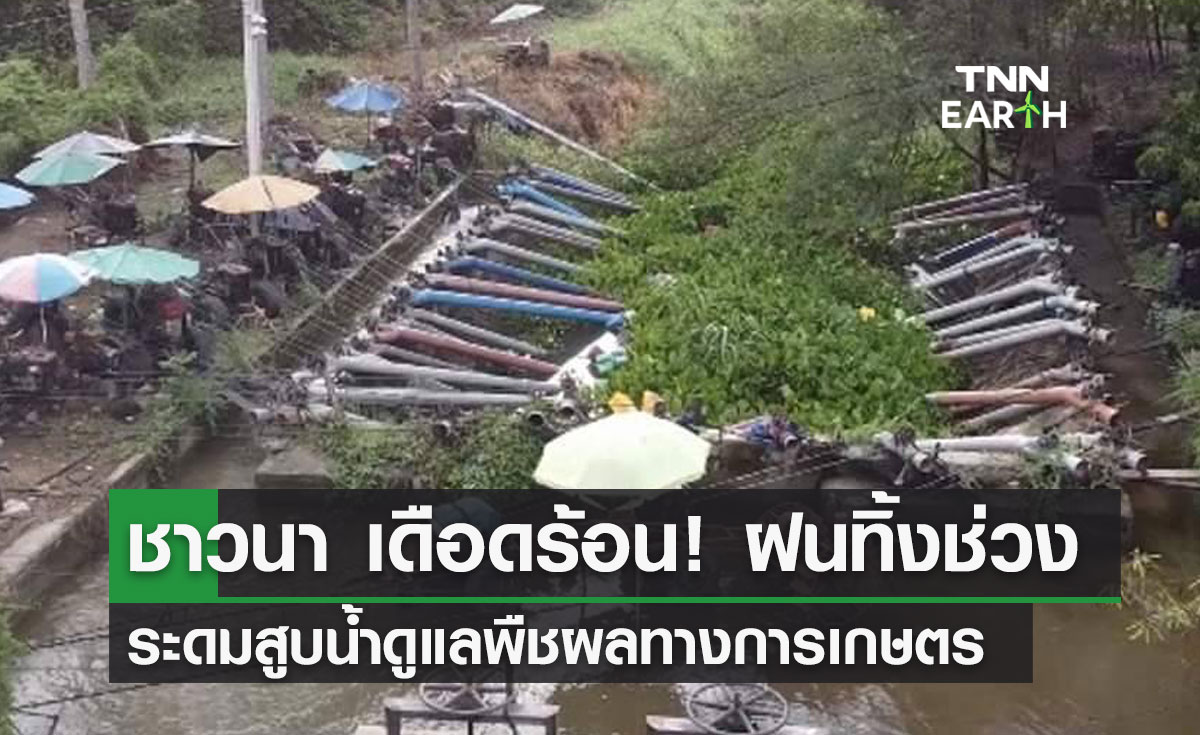 ชาวนา เดือดร้อน! ฝนทิ้งช่วง  ระดมสูบน้ำดูแลพืชผลทางการเกษตร