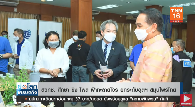 สวทช. เตรียมยกระดับสมุนไพรไทย! ศึกษา ขิง ไพล ฟ้าทะลายโจร สวทช. เตรียมยกระดับสมุนไพรไทย! ศึกษา ขิง ไพล ฟ้าทะลายโจร