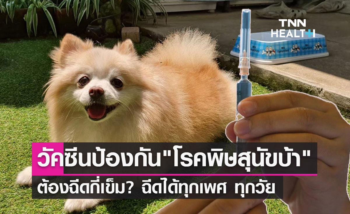 วัคซีนป้องกันโรคพิษสุนัขบ้า ต้องฉีดกี่เข็ม?