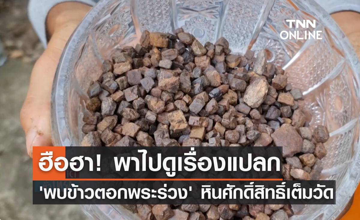 ฮือฮา! พาไปดูเรื่องแปลก "พบข้าวตอกพระร่วง" หินศักดิ์สิทธิ์เต็มวัด 