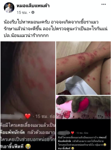 เปิดวิธีเยียวยาทาสแมวหลังติด ‘เชื้อราแมว’ โรคของคนรักสัตว์ เปิดวิธีเยียวยาทาสแมวหลังติด ‘เชื้อราแมว’ โรคของคนรักสัตว์