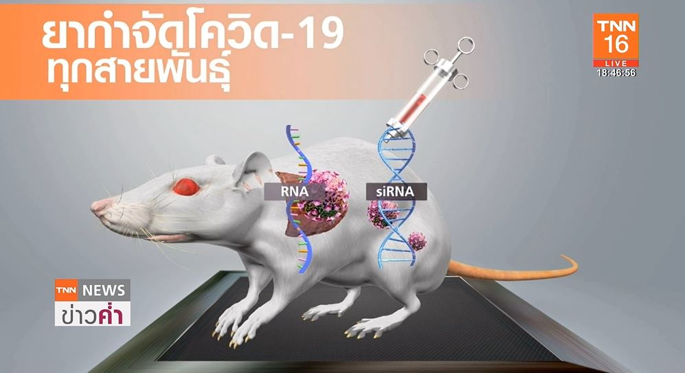 นักวิจัยออสเตรเลีย ค้นพบยารักษาโควิด-19 ทุกสายพันธุ์!