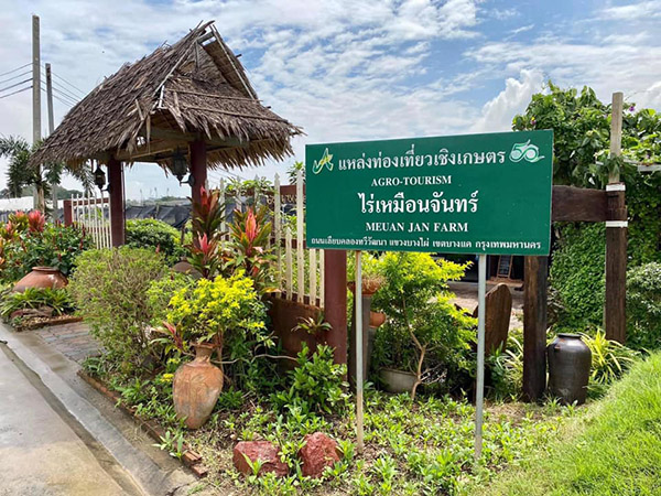 10 คาเฟ่บางแคสุดเก๋ หลากสไตล์เลือกชิลได้ตามใจ 10 คาเฟ่บางแคสุดเก๋ หลากสไตล์เลือกชิลได้ตามใจ