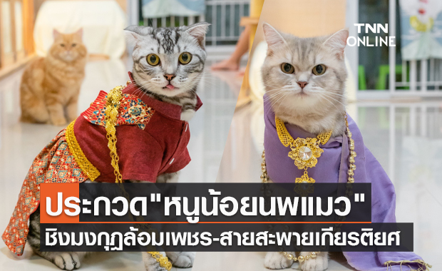 ลอยกระทงปี 64 เอาใจทาสจัดประกวด "หนูน้อยนพแมว" ชิงมงกุฎทองล้อมเพชร