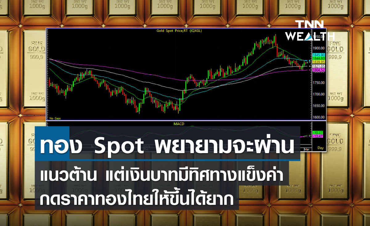 ทอง Spot พยายามจะผ่านแนวต้าน แต่เงินบาทมีทิศทางแข็งค่ากดราคาทองไทยให้ขึ้นได้ยาก
