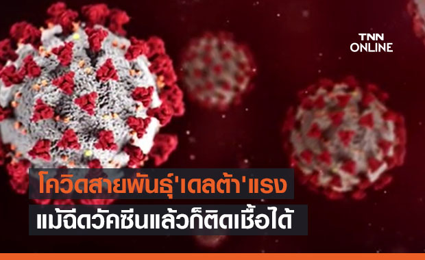 ผลศึกษาชี้ไวรัสโควิดสายพันธุ์ 'เดลต้า' แรง แม้ฉีดวัคซีนแล้วก็ติดเชื้อได้