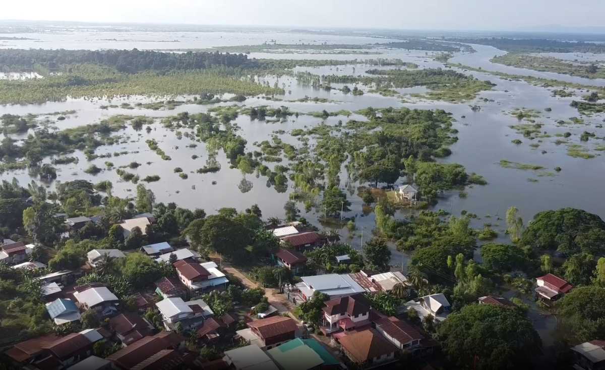 หนองคายน้ำโขงลดจระเข้โผล่กลางน้ำท่วม หนองคายน้ำโขงลดจระเข้โผล่กลางน้ำท่วม