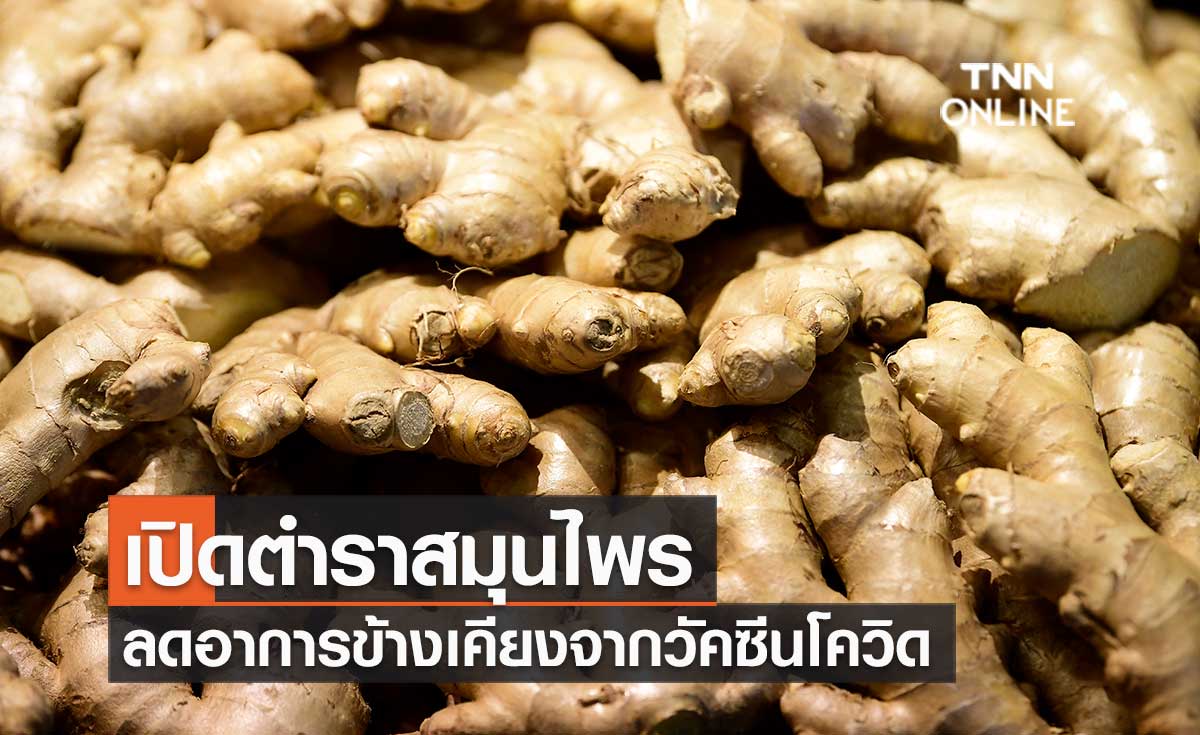 กรมอนามัย แนะ "ขมิ้น ขิง ผักใบเขียว ธัญพืช" ช่วยลดอาการข้างเคียงจากวัคซีนโควิด