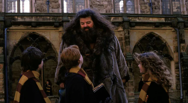 เสียชีวิตแล้ว!! 'ร็อบบี้ โคลทราน’ ผู้สวมบท 'แฮกริด’ หนัง Harry Potter วัย 72 ปี