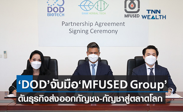  DOD ดึง “ MFUSED Group ” ดันธุรกิจส่งออกกัญชง-กัญชาสู่ตลาดโลก  