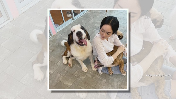 “แก้มบุ๋ม” เผยเปิดคาเฟ่สัตว์ เพราะความรักหมาแมว (มีคลิป) “แก้มบุ๋ม” เผยเปิดคาเฟ่สัตว์ เพราะความรักหมาแมว (มีคลิป)