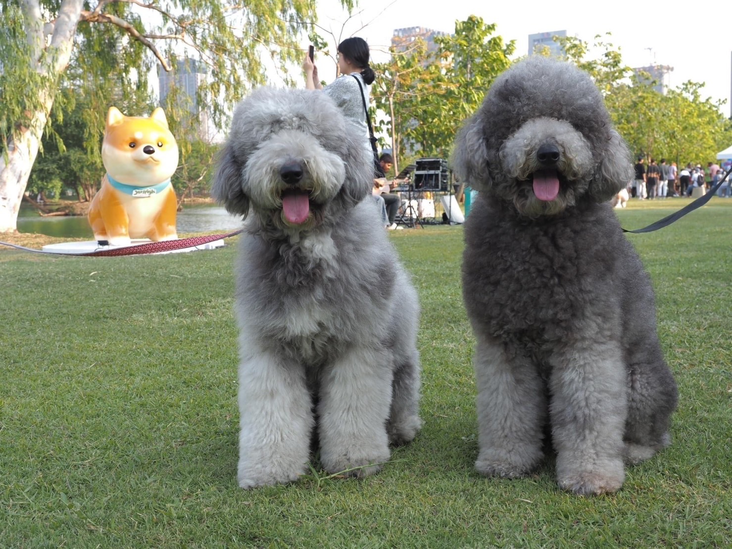 กทม. จับมือ เจอร์ไฮ-จินนี่ เปิด ‘Pet Park สวนรถไฟ’ พร้อมต้อนรับ ‘ฮีไร่ 4 ขา’ น้องหมาน้องแมว กทม. จับมือ เจอร์ไฮ-จินนี่ เปิด ‘Pet Park สวนรถไฟ’ พร้อมต้อนรับ ‘ฮีไร่ 4 ขา’ น้องหมาน้องแมว