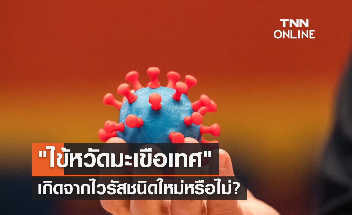 ไข้หวัดมะเขือเทศ เกิดจากไวรัสชนิดใหม่หรือไม่-หากติดเชื้อมีอาการอย่างไร?