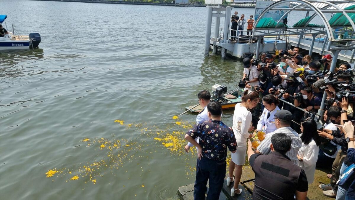 แฟนคลับร่วมรำลึกถึง แตงโม นิดา ที่ท่าเรือ-คริสตจักรเมธอดิสท์รังสิต อีก 1 วัน แฟนคลับร่วมรำลึกถึง แตงโม นิดา ที่ท่าเรือ-คริสตจักรเมธอดิสท์รังสิต อีก 1 วัน