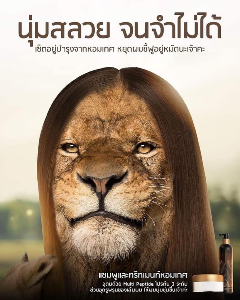 แม่หญิงลี ควันออกหู หลังโดนชาวเน็ตแกง ด้วยภาพนี้!?