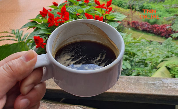 ดื่ม กาแฟ ตอนไหนดีที่สุด ตื่นปุ๊บดื่มปั๊บ หรือ หลังกินอาหารเช้า? ดื่ม กาแฟ ตอนไหนดีที่สุด ตื่นปุ๊บดื่มปั๊บ หรือ หลังกินอาหารเช้า?