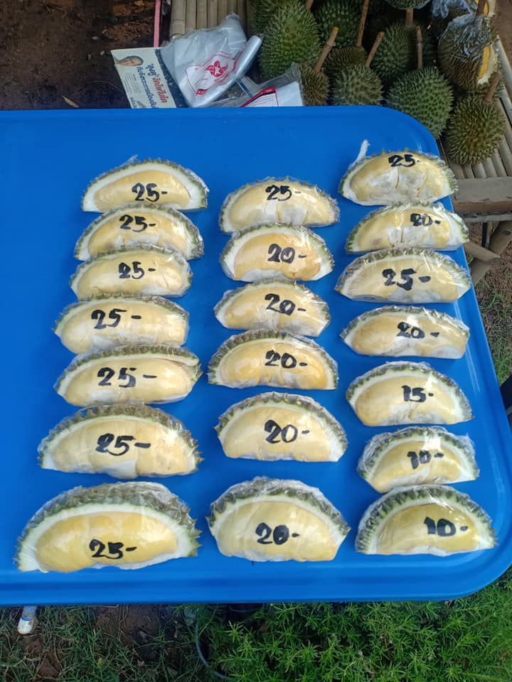 โซเชียลน้ำลายสอ “ทุเรียนพูละ 5 บาท” คนงบน้อยก็อร่อยได้ โซเชียลน้ำลายสอ “ทุเรียนพูละ 5 บาท” คนงบน้อยก็อร่อยได้