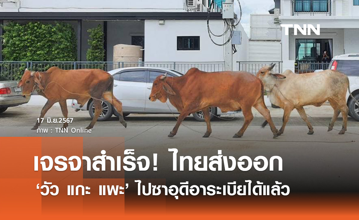 นายกฯ เจรจาสำเร็จ! ไทยส่งออก "วัว แกะ แพะ" ไปซาอุดีฯ ได้แล้ว