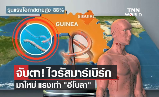 จับตา! ไวรัส "มาร์เบิร์ก" มาใหม่ แรงเท่า "อีโบลา" โอกาสเสียชีวิตสูงถึง 88%