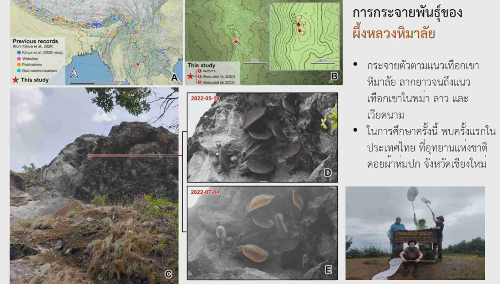 ครั้งแรกในไทย! กรมอุทยานแห่งชาติสัตว์ป่าฯ แถลงพบ ผึ้งหลวงหิมาลัย