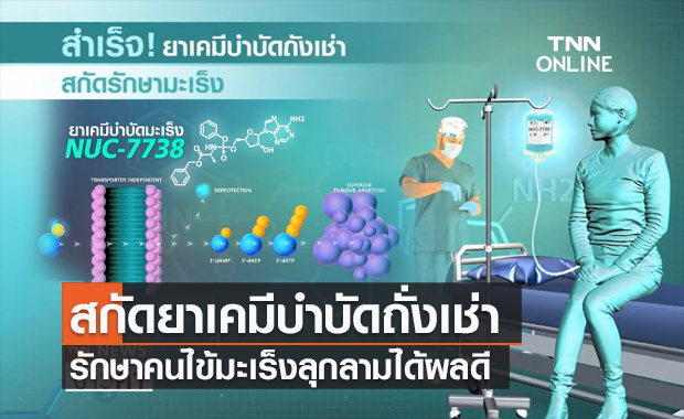 นักวิจัยอังกฤษ สกัด ยาเคมีบำบัดถั่งเช่า รักษามะเร็งในคนไข้เชื้อลุกลามได้ผลดี