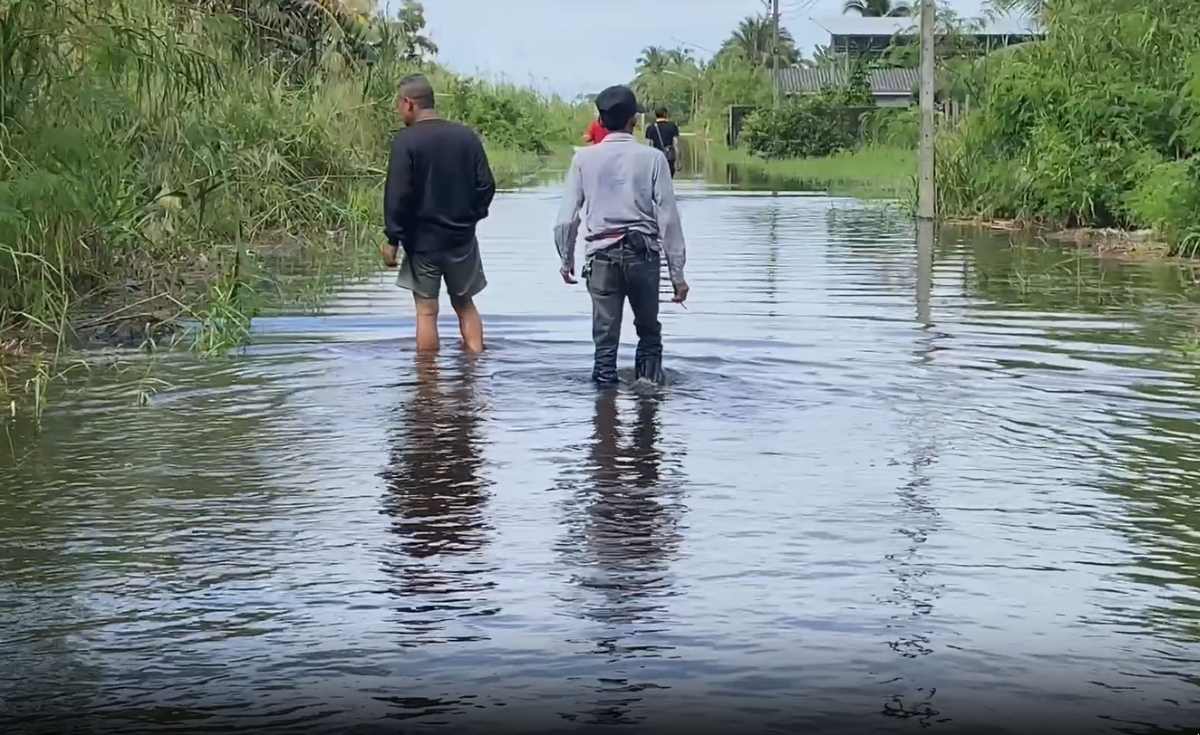 นครศรีฯ พื้นที่รับน้ำยังอ่วม - สุราษฎร์ฯ อ.พุนพิน ยังท่วมสูง 