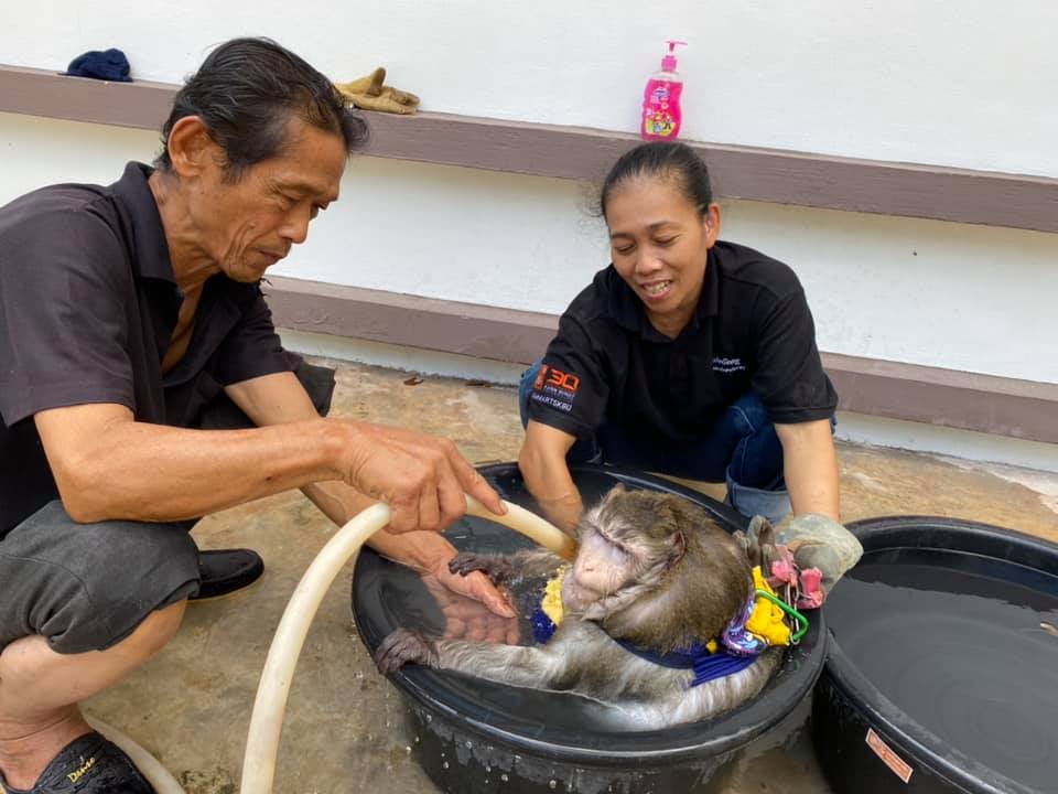 เปิดภาพล่าสุด ‘เจ้าก็อตซิลล่า’ คิดถึงเจ้าของหนักมากต้องอุ้มกินนม เปิดภาพล่าสุด ‘เจ้าก็อตซิลล่า’ คิดถึงเจ้าของหนักมากต้องอุ้มกินนม