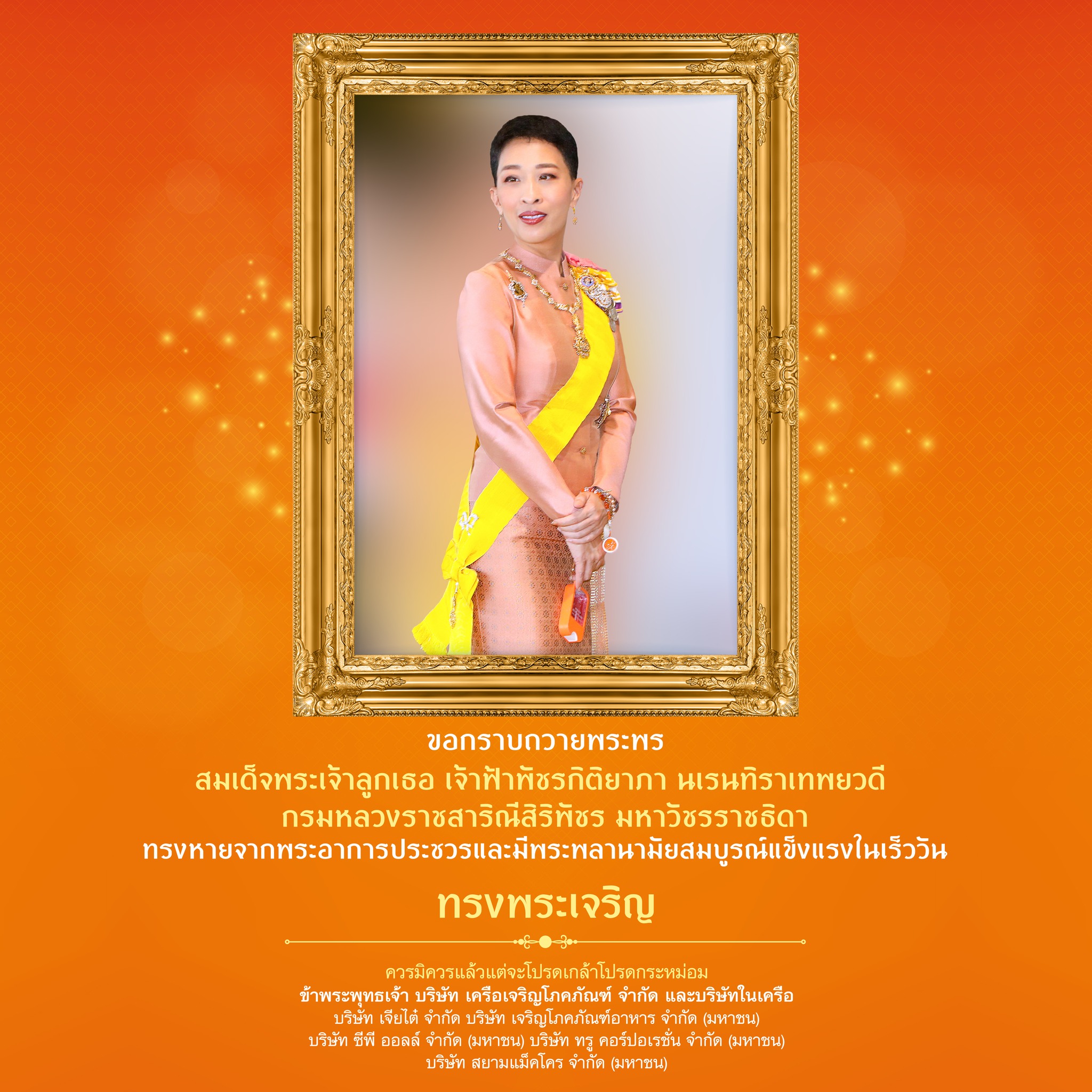 พสกนิกรและศิลปินดาราขอกราบถวายพระพร พสกนิกรและศิลปินดาราขอกราบถวายพระพร