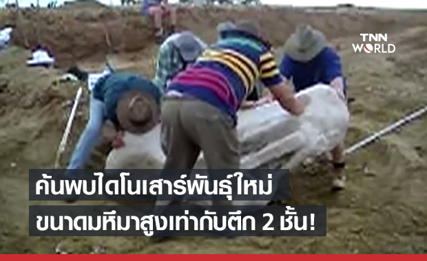 ค้นพบไดโนเสาร์ "Australotitan cooperensis" ขนาดใหญ่ที่สุดในออสเตรเลีย