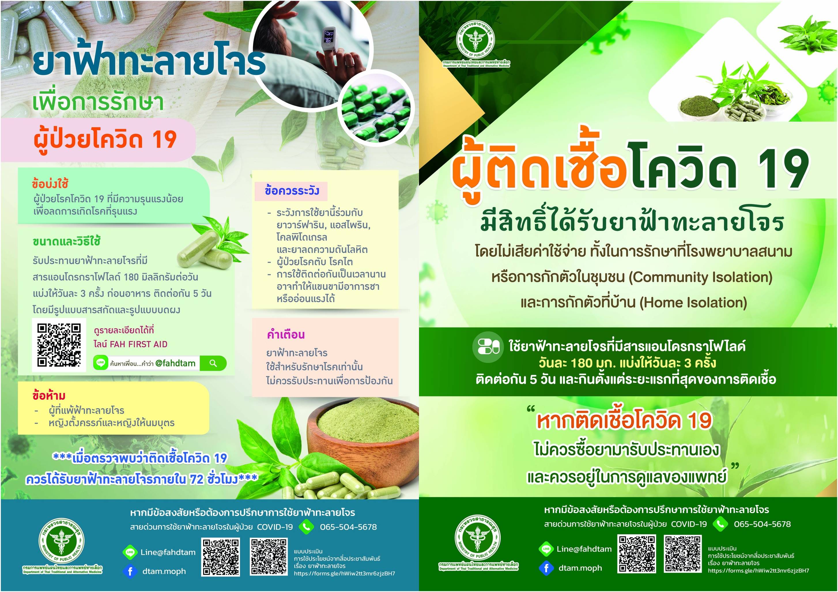กรมการแพทย์แผนไทยฯ เผย&nbsp;ความต้องการ ฟ้าทะลายโจร รักษาผู้ป่วยโควิดสูงขึ้น