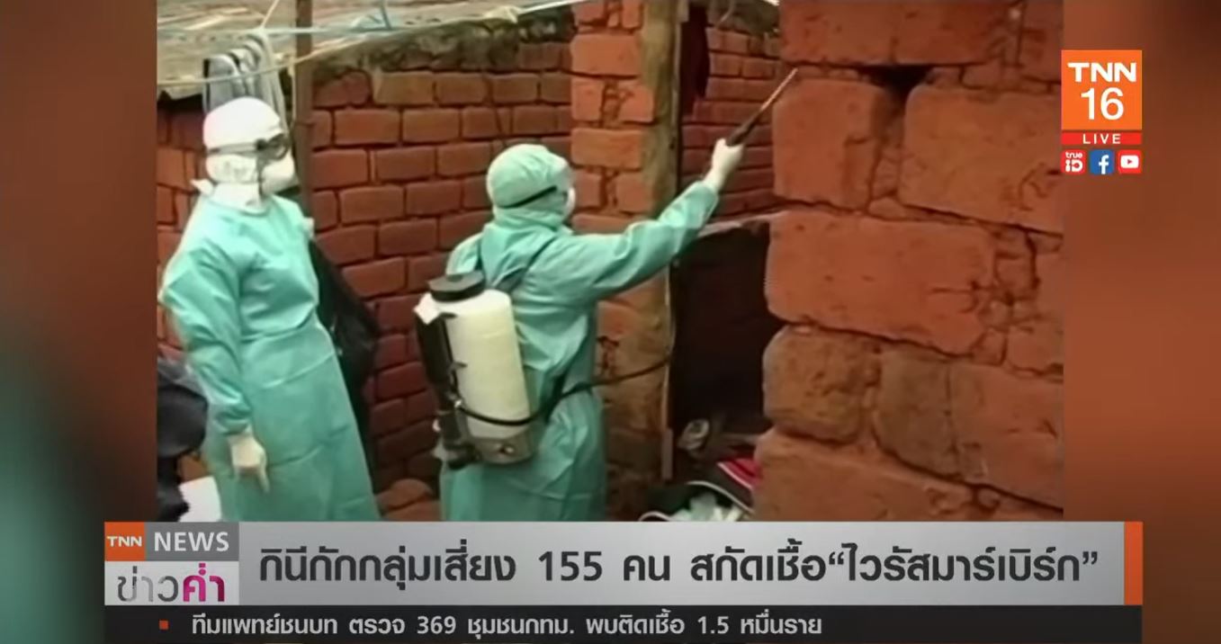 จับตา! ไวรัส มาร์เบิร์ก มาใหม่ แรงเท่า อีโบลา โอกาสเสียชีวิตสูงถึง 88%