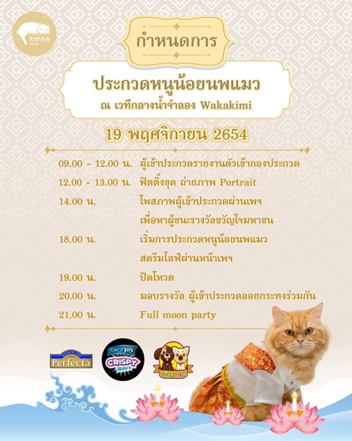 ลอยกระทงปี 64 จัดกิจกรรมประกวด หนูน้อยนพแมว ชิงมงกุฎทองล้อมเพชร