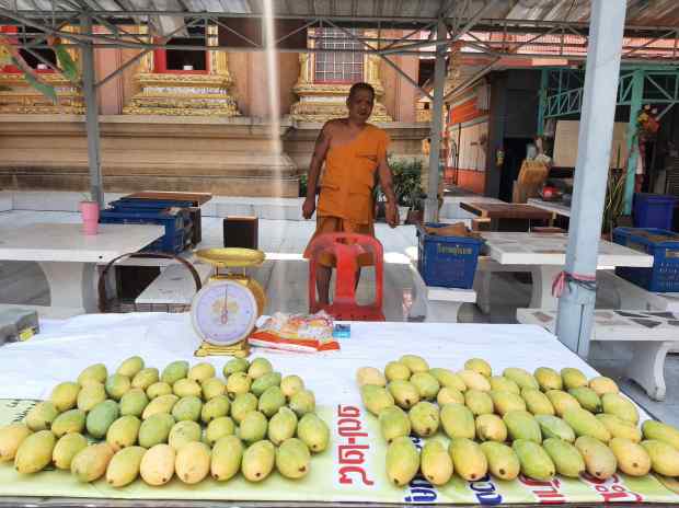 พระวางตาลปัตร นั่งขายมะม่วง หาค่าน้ำ-ค่าไฟ พระวางตาลปัตร นั่งขายมะม่วง หาค่าน้ำ-ค่าไฟ