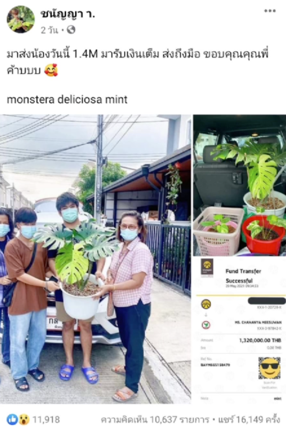 ฮือฮา! ต้น มอนสเตอร่า ด่างมิ้นต์ ราคา 1.4 ล้าน ฮือฮา! ต้น มอนสเตอร่า ด่างมิ้นต์ ราคา 1.4 ล้าน