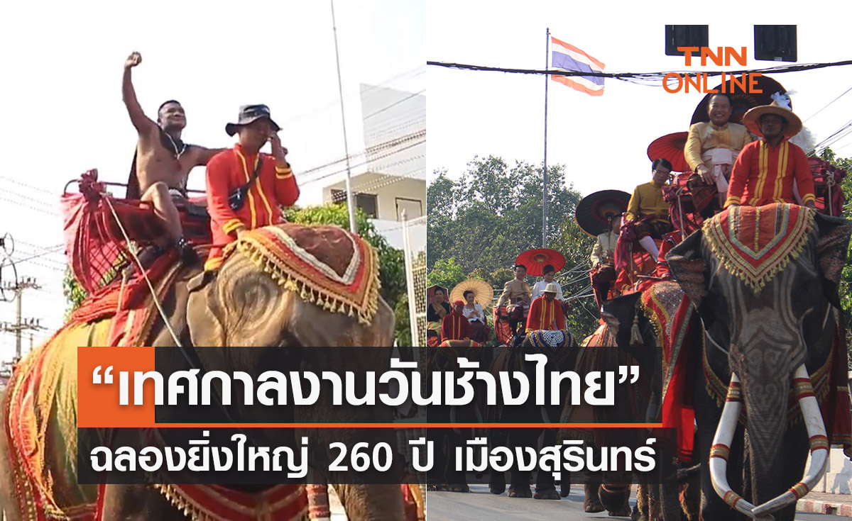 เริ่มแล้ว! “เทศกาลงานวันช้างไทย” ฉลองยิ่งใหญ่ 260 ปี เมืองสุรินทร์