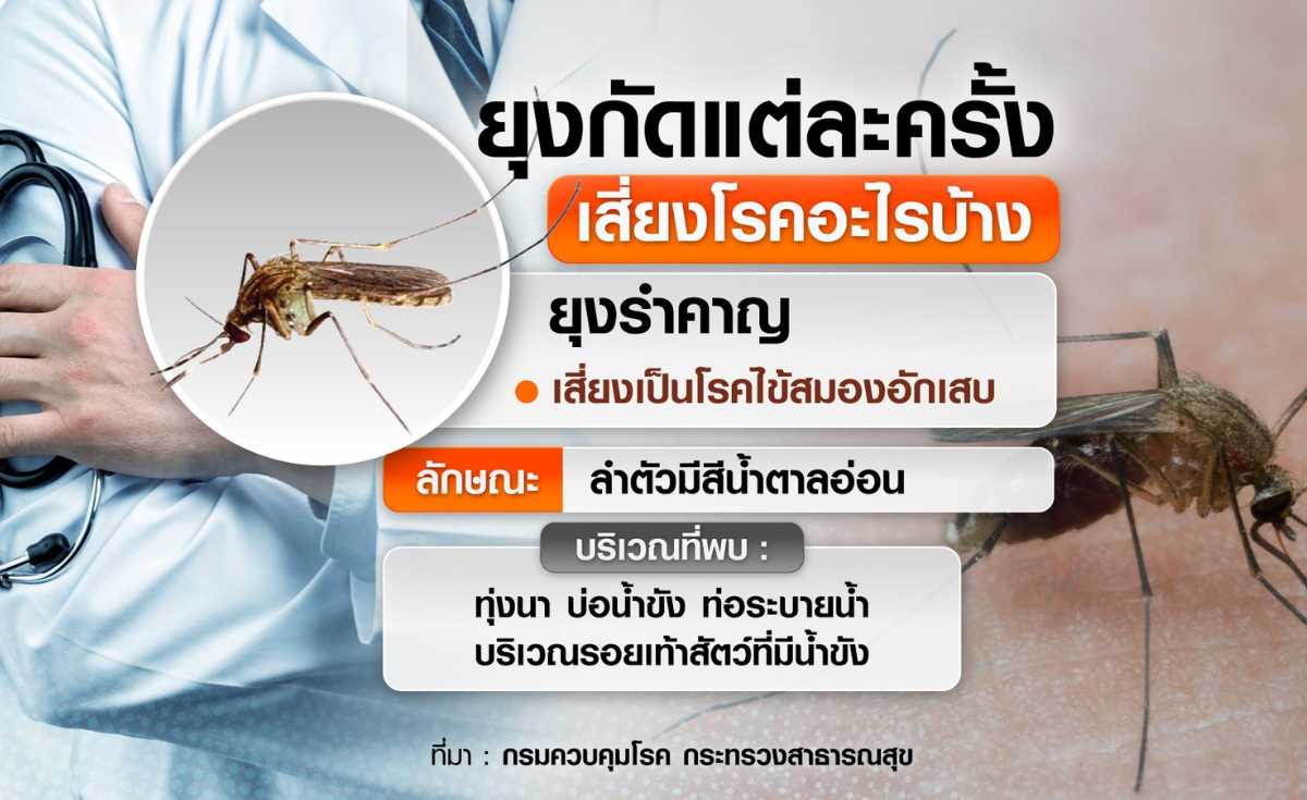 ยุงกัดแต่ละครั้ง เสี่ยงโรคอะไรบ้าง ยุงกัดแต่ละครั้ง เสี่ยงโรคอะไรบ้าง