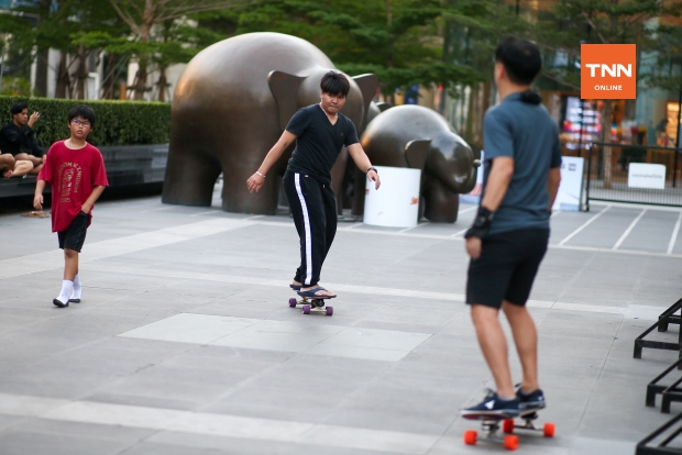 เซิร์ฟสเก็ต Surf Skate กีฬายอดฮิต ข้อควรระวังอันตรายที่ควรรู้ก่อนเริ่มเล่น เซิร์ฟสเก็ต Surf Skate กีฬายอดฮิต ข้อควรระวังอันตรายที่ควรรู้ก่อนเริ่มเล่น