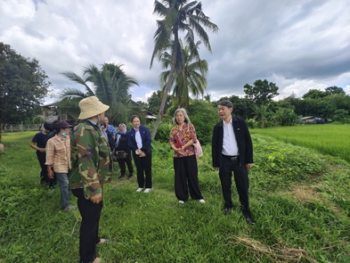 ทีมวิจัยเตือนเฝ้าระวังพื้นที่ลุ่มน้ำเจ้าพระยา เผยน้ำท่วมนาข้าวเสียหายกว่า 1.6 พันลบ. ทีมวิจัยเตือนเฝ้าระวังพื้นที่ลุ่มน้ำเจ้าพระยา เผยน้ำท่วมนาข้าวเสียหายกว่า 1.6 พันลบ.