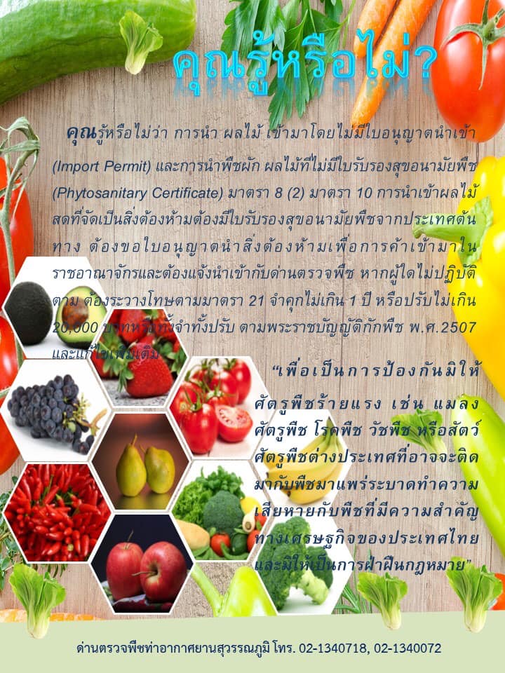 เตือนนทท.!ไปต่างประเทศของฝากเป็นผลไม้สด เสี่ยงผิดกม.นำเข้า เตือนนทท.!ไปต่างประเทศของฝากเป็นผลไม้สด เสี่ยงผิดกม.นำเข้า