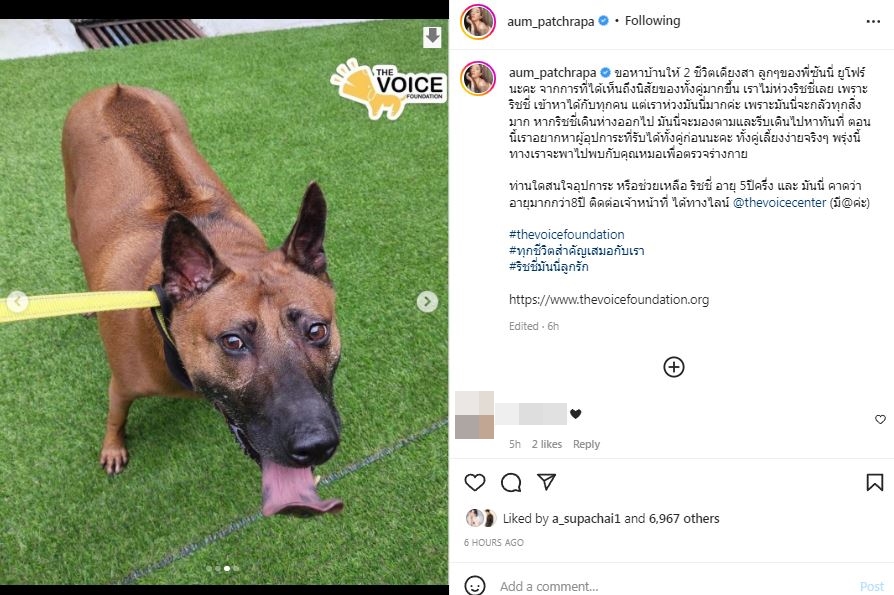 อั้ม พัชราภา ช่วยลูก ซันนี่ ยูโฟร์ เผยมีเรื่องสุดห่วง
