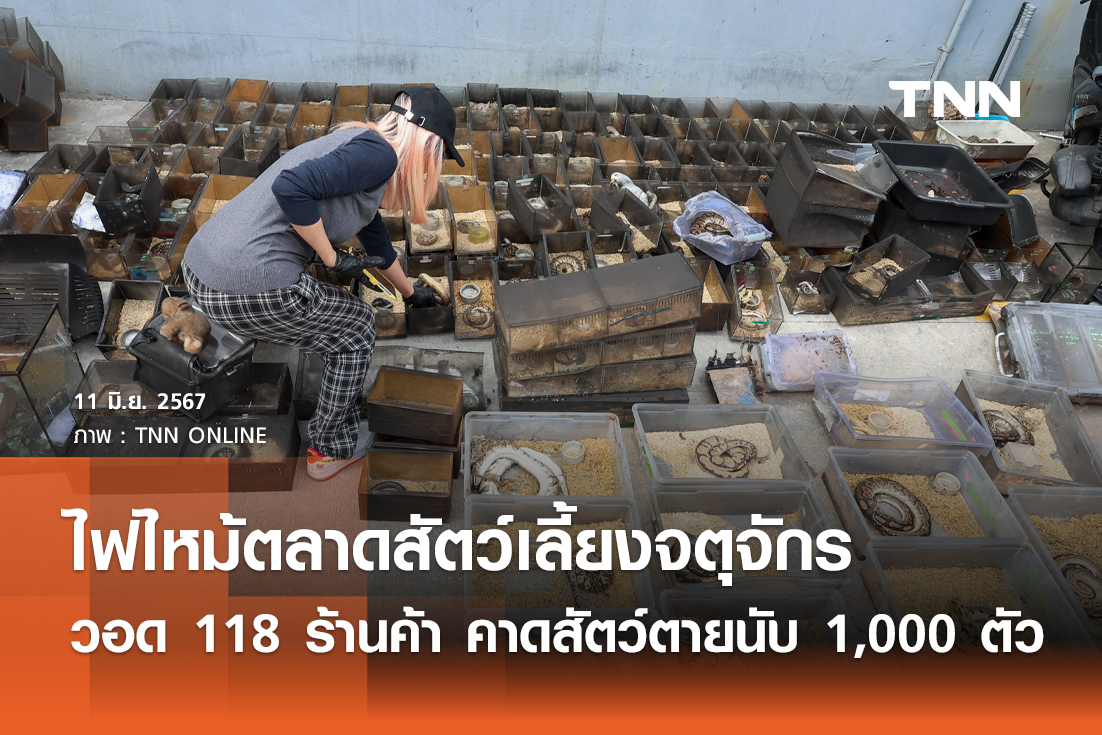 ไฟไหม้ตลาดสัตว์เลี้ยงจตุจักร วอด 118 ร้านค้า คาดสัตว์ตายนับ 1,000 ตัว