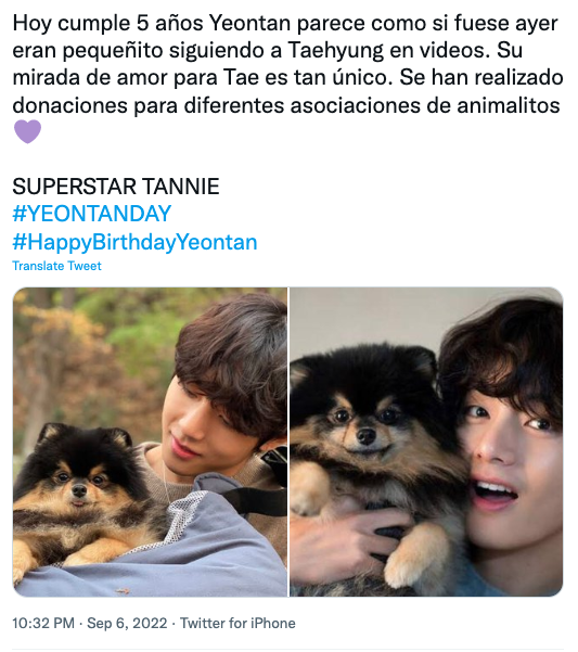 แฟนๆ ทั่วโลกอวยพรวันเกิด 'เจ้ายอนทัน’ น้องโฮ่งเซเลบของ ‘วี BTS’ แฟนๆ ทั่วโลกอวยพรวันเกิด 'เจ้ายอนทัน’ น้องโฮ่งเซเลบของ ‘วี BTS’