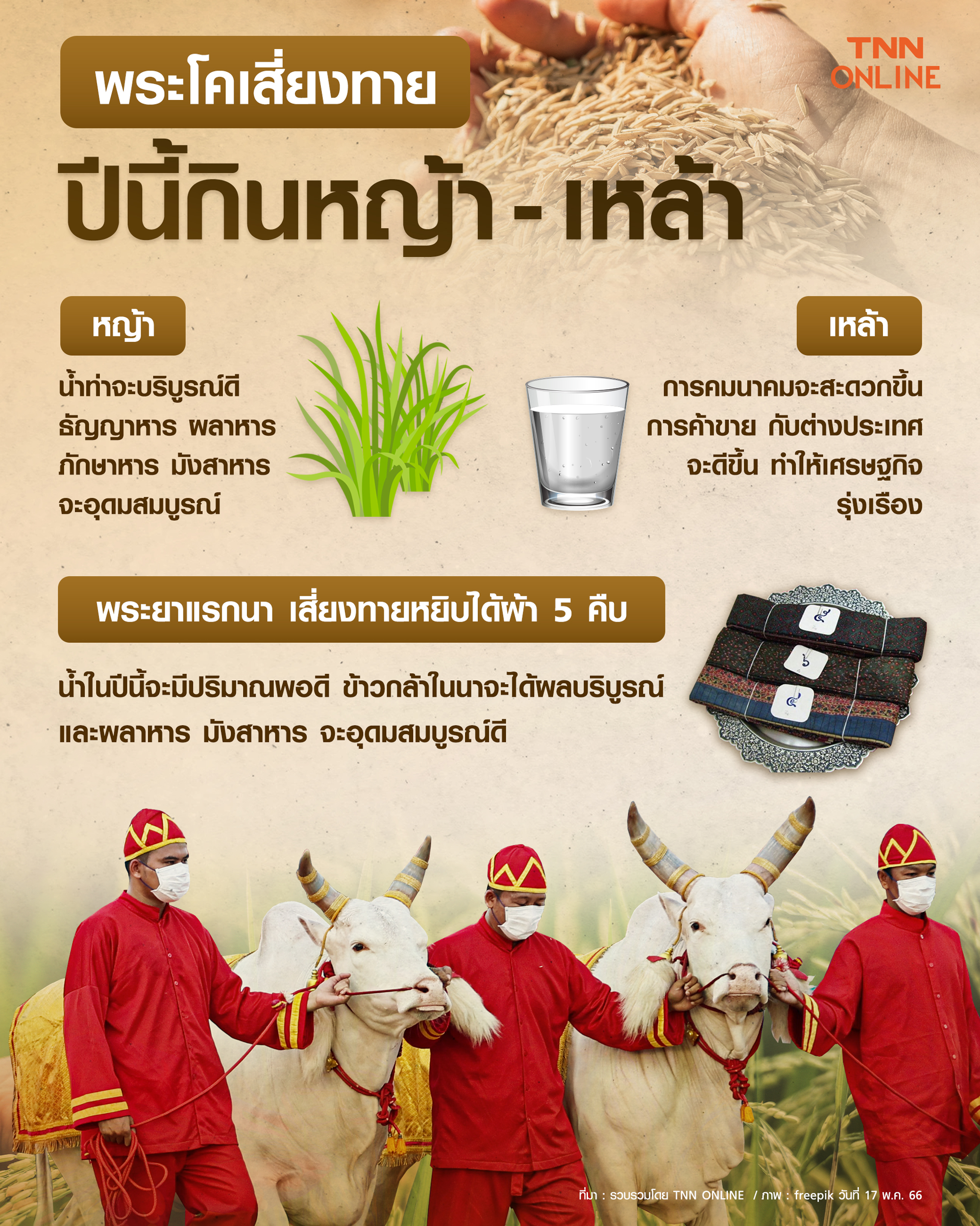 วันพืชมงคล 2566 เปิดคำทำนาย พระโคเสี่ยงทาย ปีนี้กินหญ้า-เหล้า